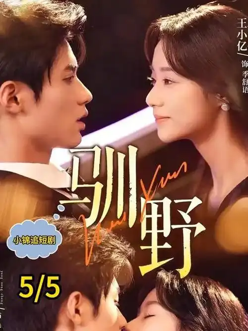 社会纪实纪录片一粒种子的旅程